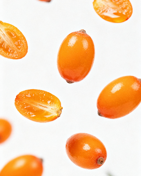 sea buckthorn